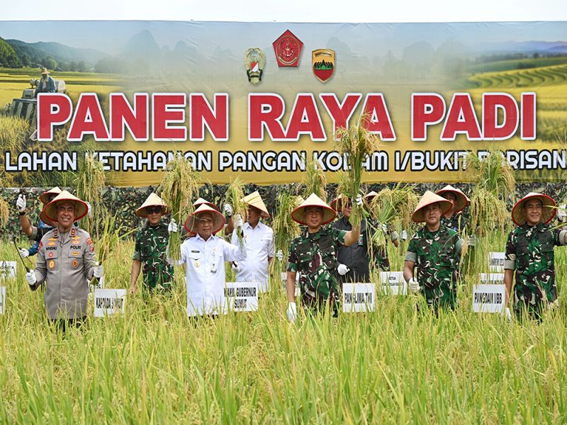 Wagub Sumut Bersama Panglima TNI Panen Raya Padi di Deliserdang