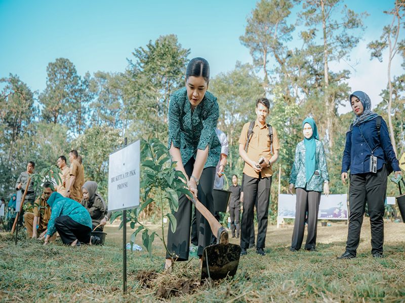 Peringatan HKG ke-53, Ketua PKK Sumut Kahiyang Ayu Tanam Pohon di Tahura, Dukung Pelestarian Lingkungan