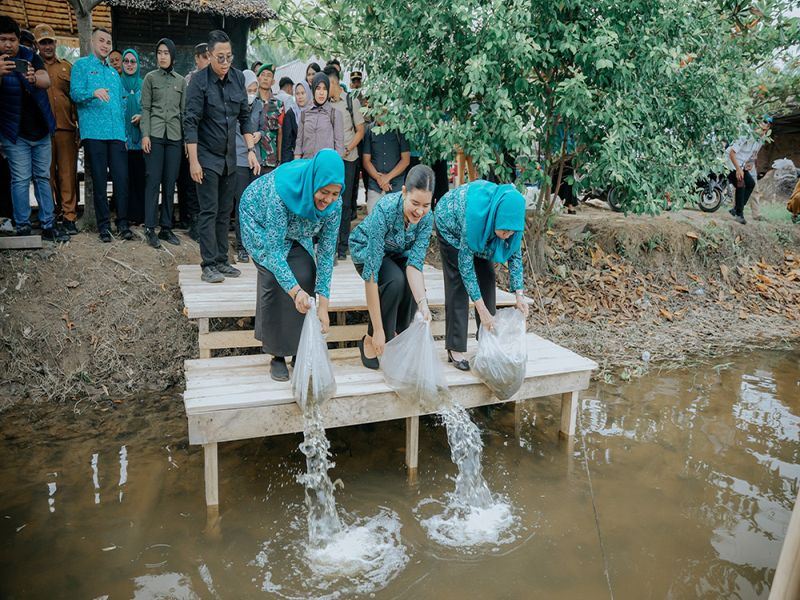 Kahiyang Ayu Tabur 15.000 Benih Ikan, Dorong Swasembada Pangan di Langkat