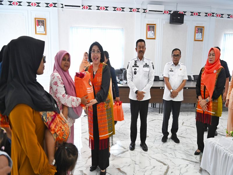 Kunjungan Kerja ke Madina, Ketua DWP Sumut Serahkan Bantuan Makanan dan Minuman Sehat untuk Balita dan Ibu Hamil