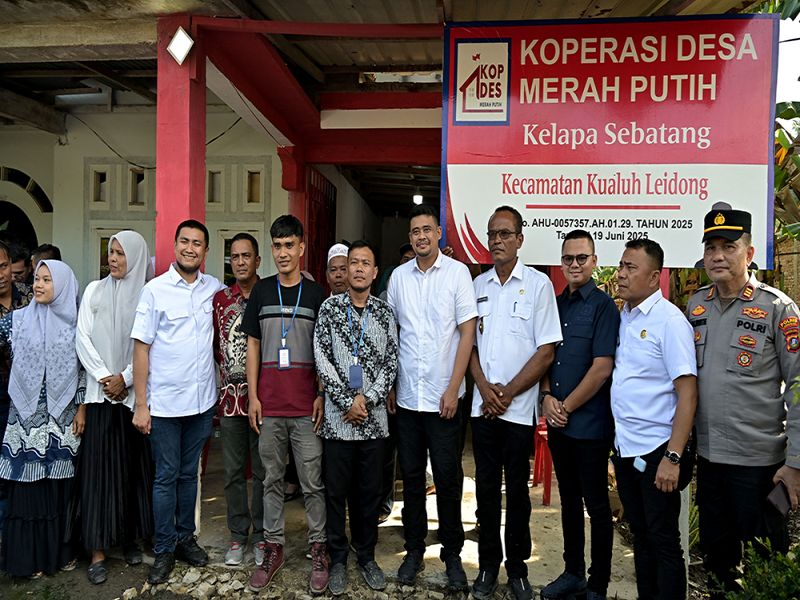 Jalankan Model Bisnis Pengepul Kelapa Sawit, Bobby Nasution Nilai Koperasi Merah Putih Kelapa Sebatang Potensial