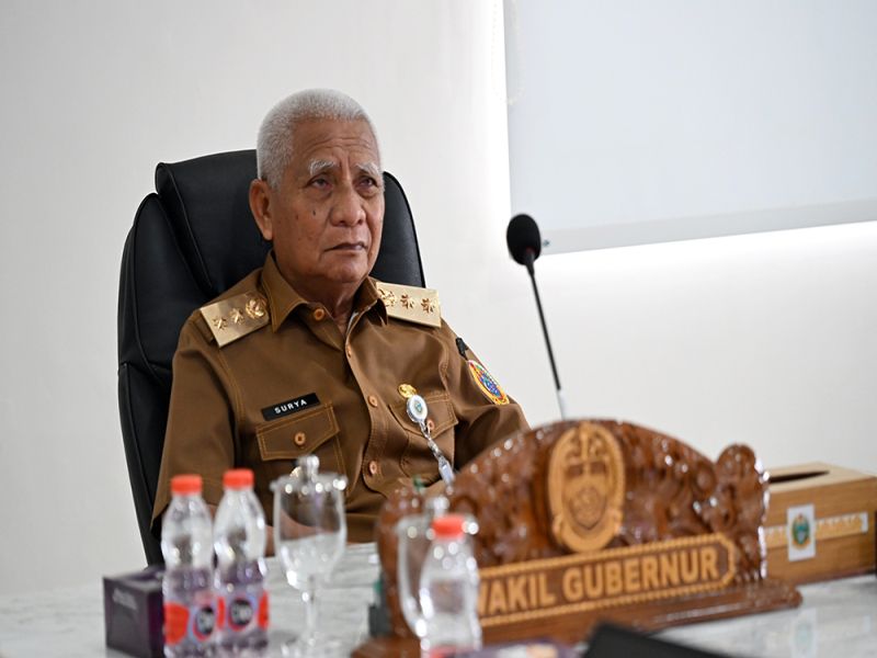 Wagub Sumut Ikuti Rakor Pengendalian Inflasi Bersama Menkeu